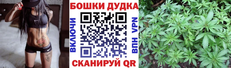 Шишки марихуана Amnesia  Купить где  Вышний Волочёк 